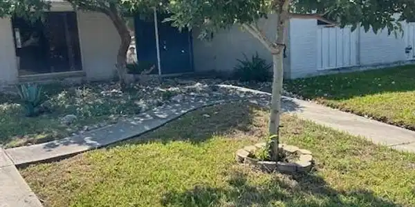 445 Haroldson Drive