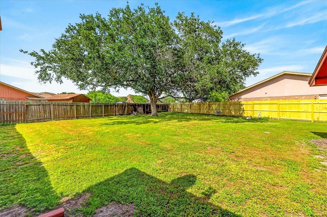 Image 3: LARGE back yard