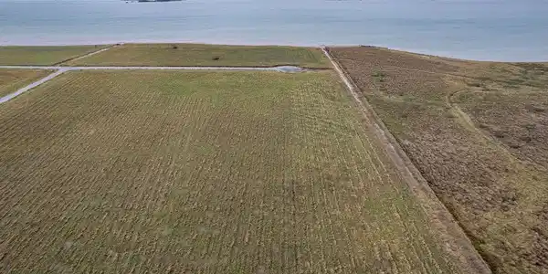 Lot 163 Driftwood Shores