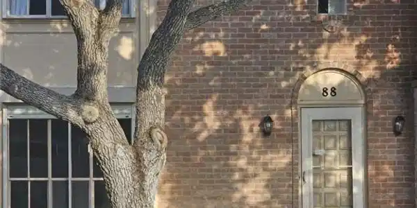 88 Townhouse