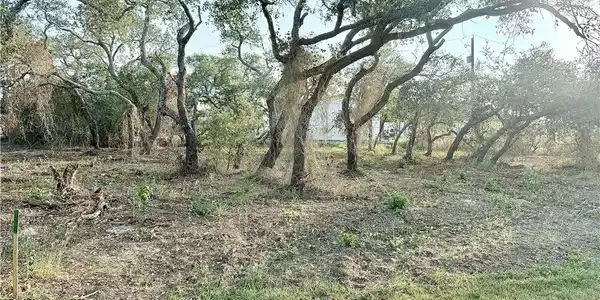 555 Mesquite Tree Loop