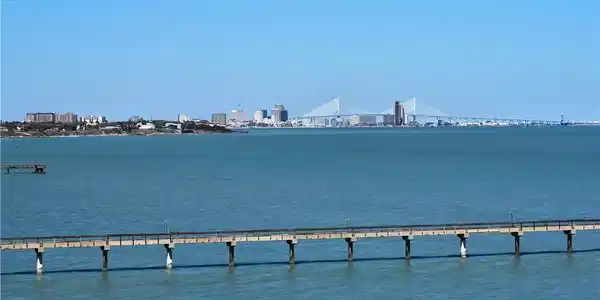 Image 2: Stunning view of the Harbor Bridge