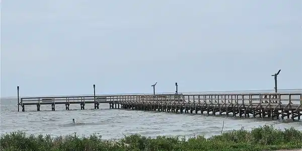 227 Palmetto Point Road