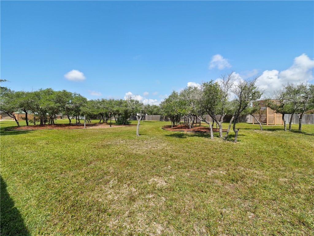 Image 4: Back yard