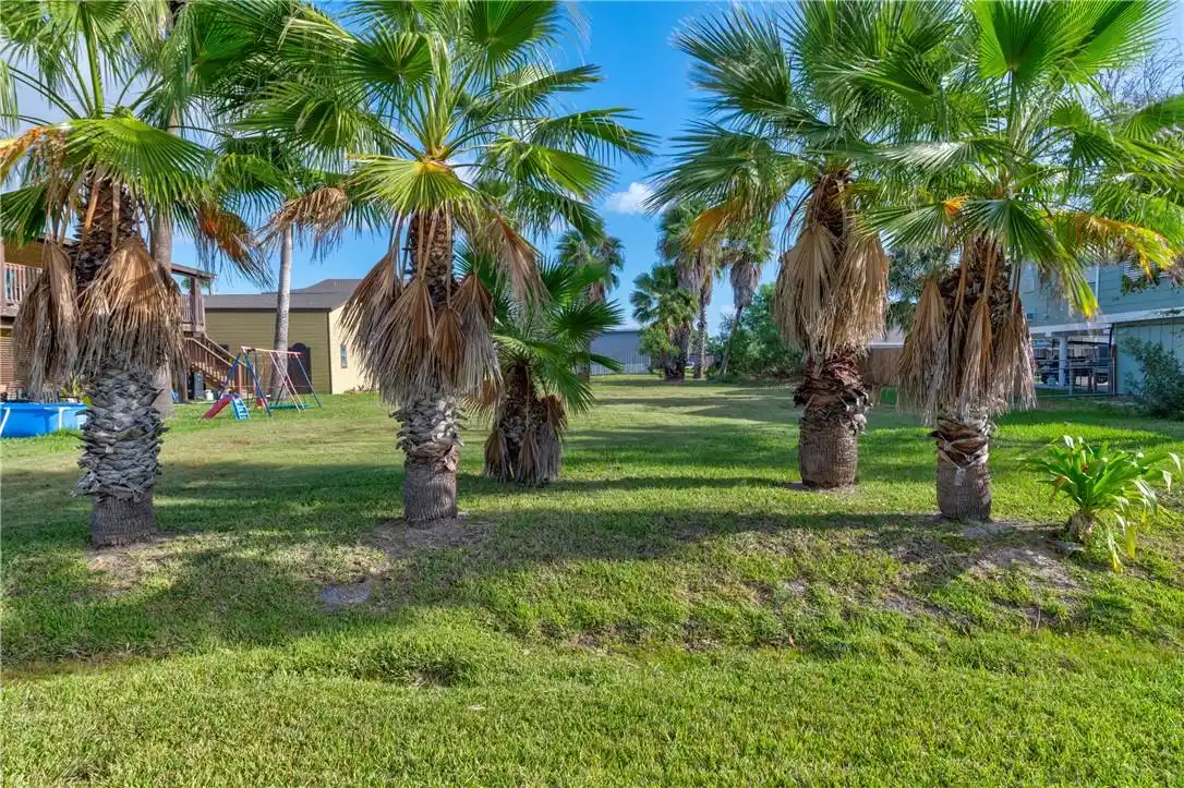 Image 1: Gorgeous mature palms front this 6,132 sf lot on A