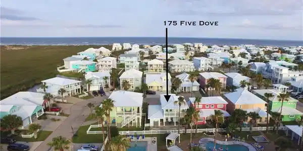 175 Five Dove