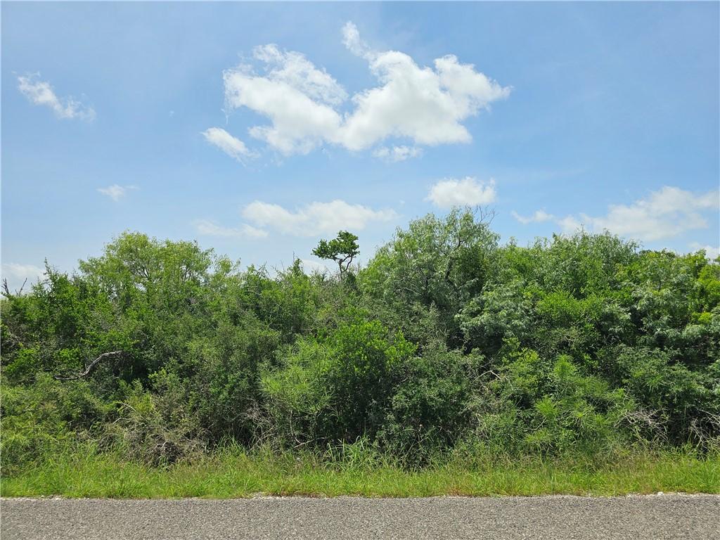Image 1: Street view of property