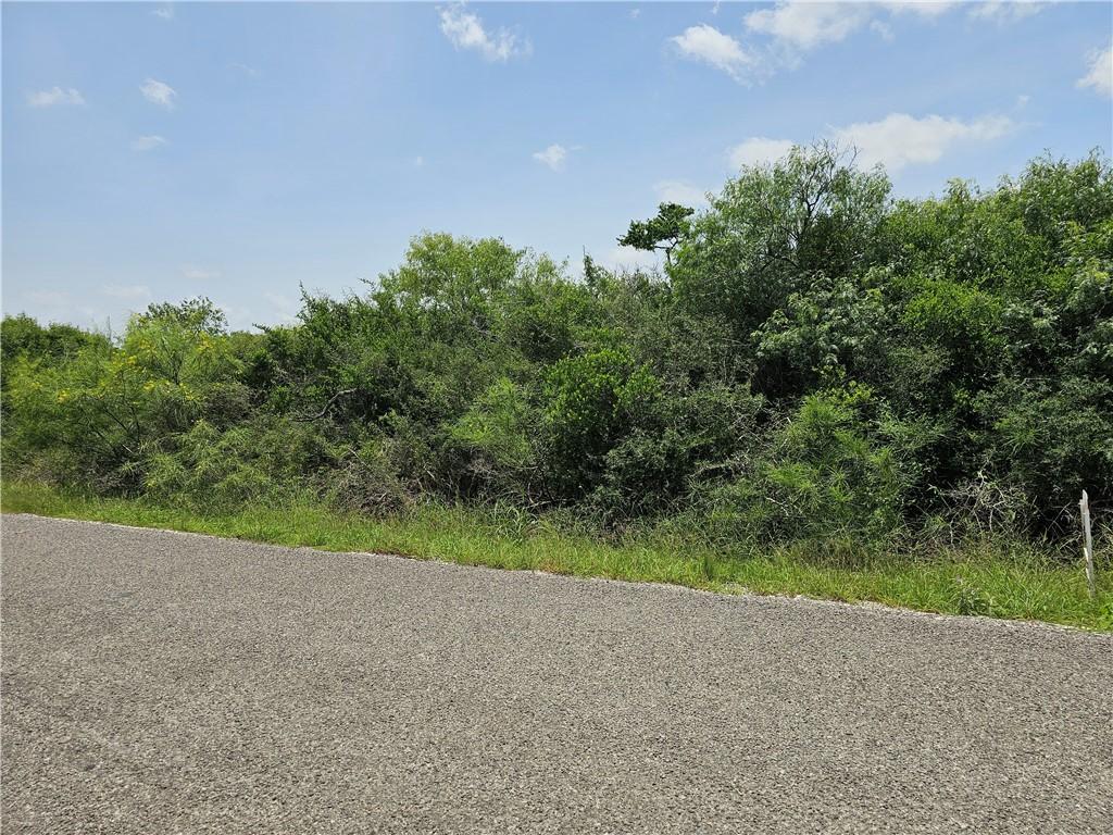 Image 3: wooded lot