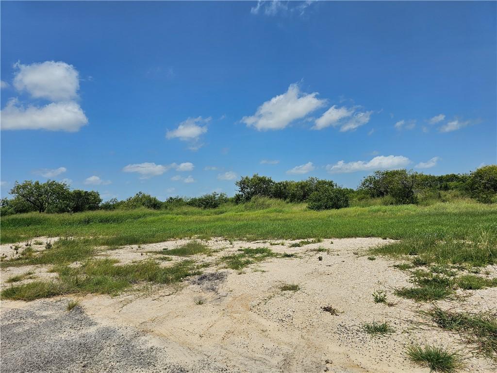 Image 4: back side of the property