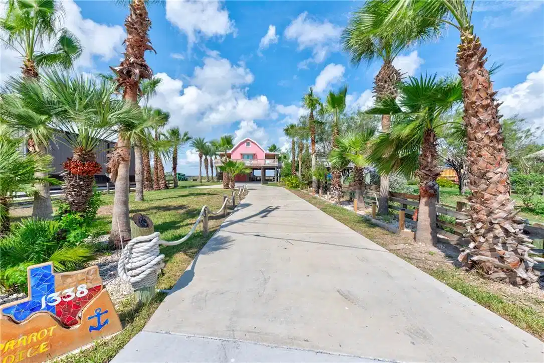 Image 1: Treelined driveway leading to the home is gorgeous