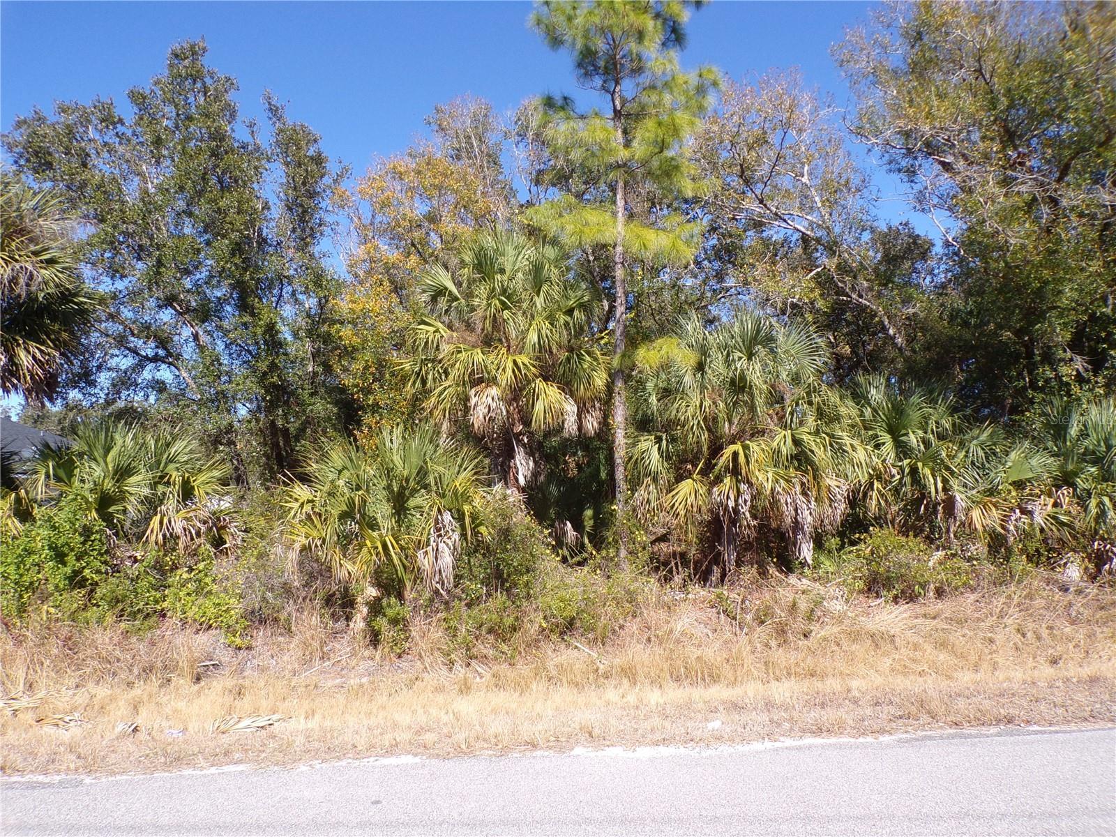 Image 1 Image 1