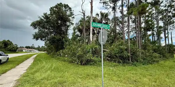 Image 4 Image 4