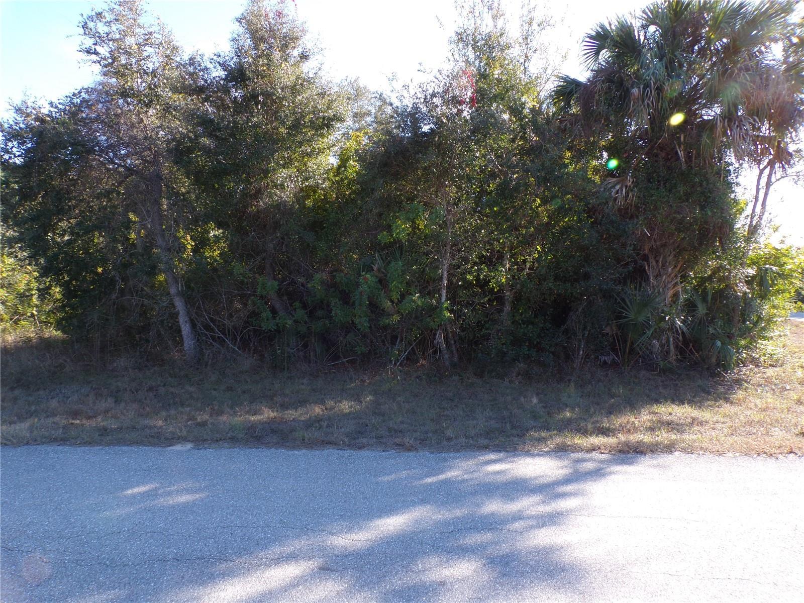 Image 3 Image 3