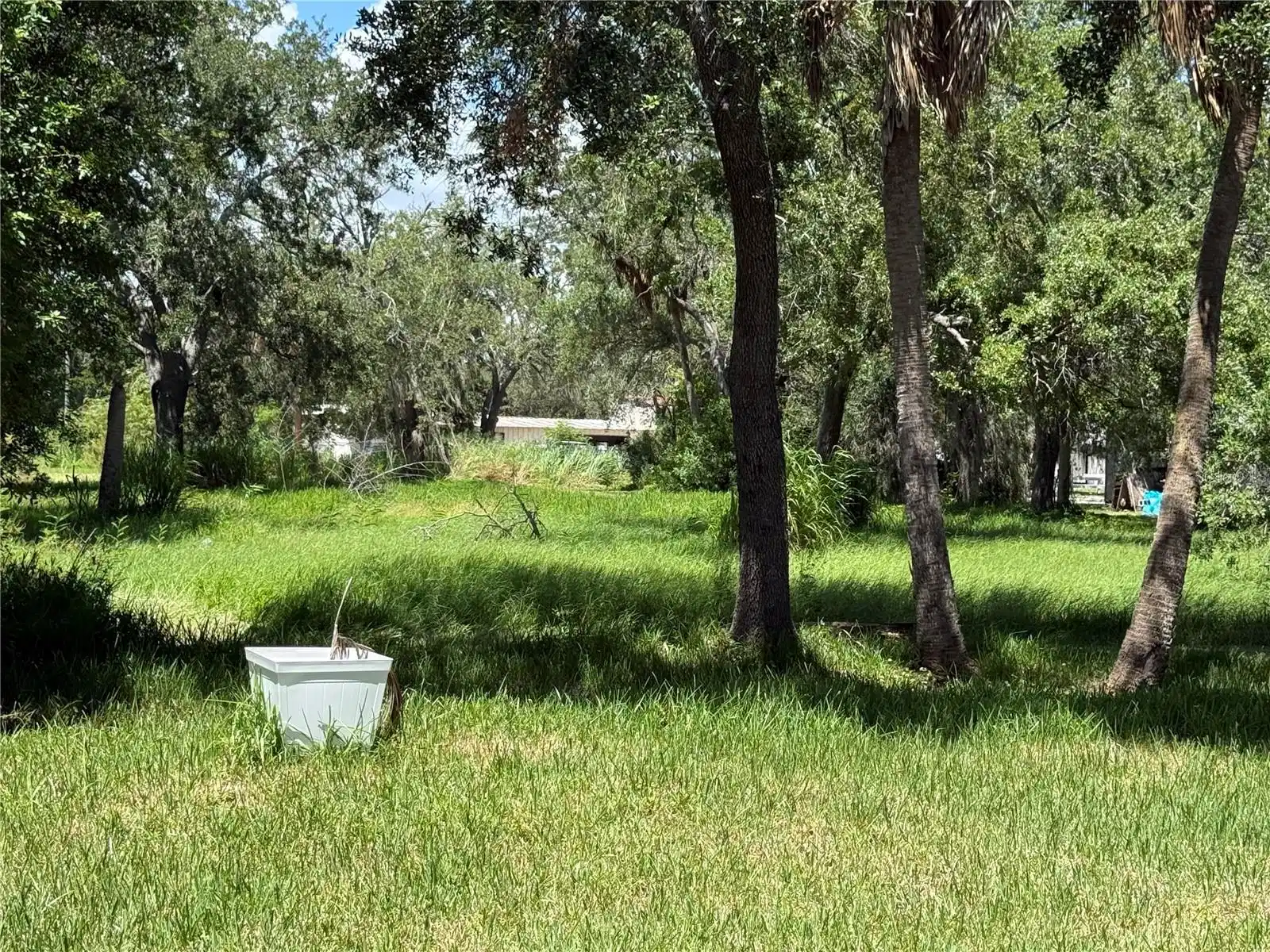 Image 1 Image 1