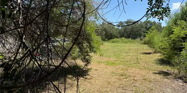 Image 4 Image 4