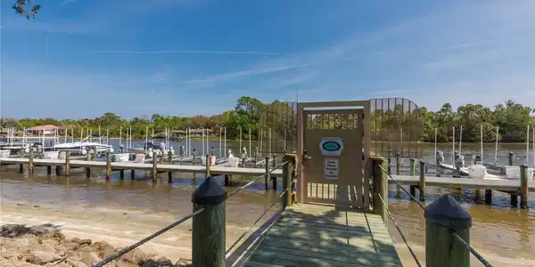 1000 CANOPY WALK