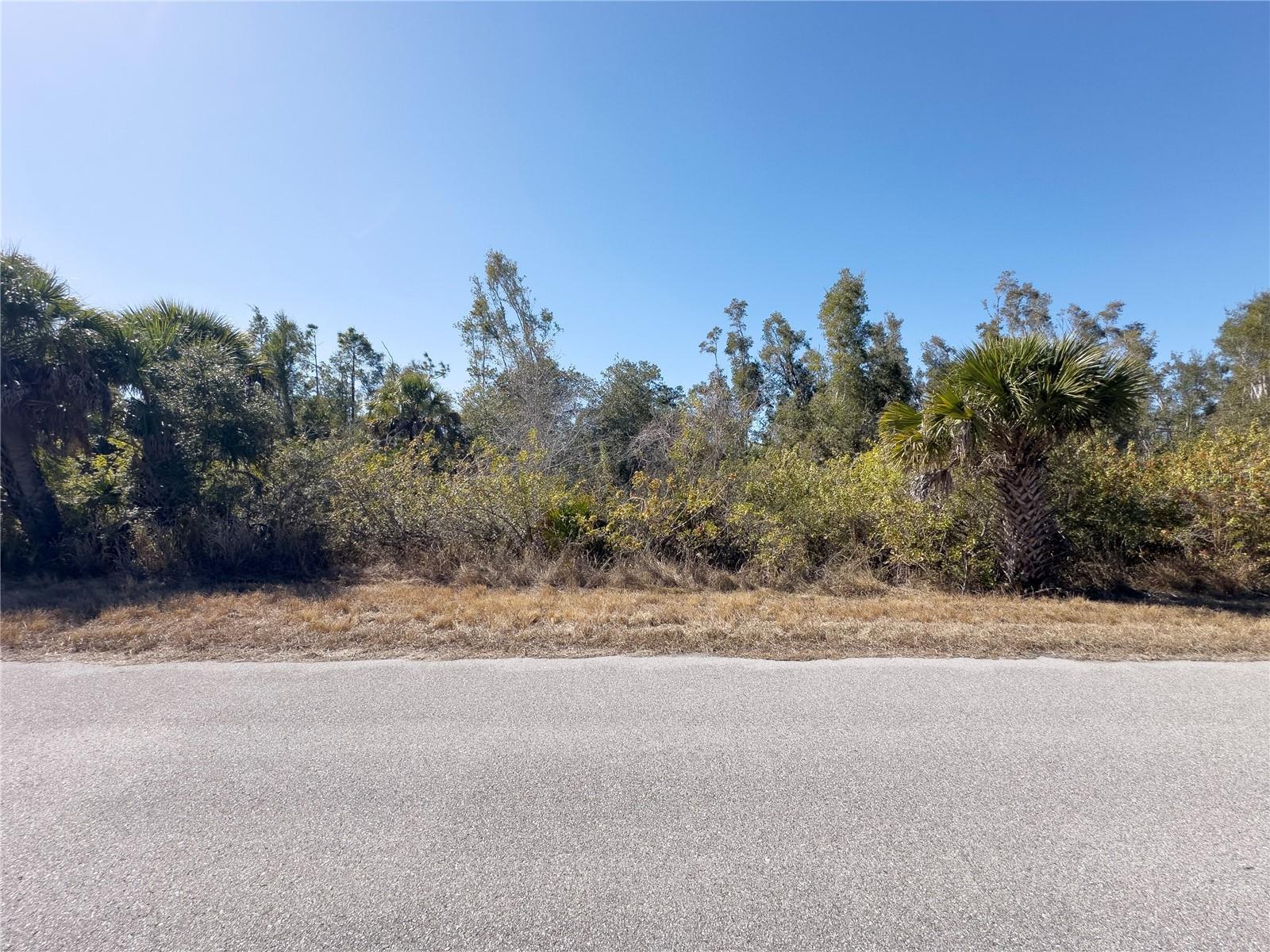 Image 1 Image 1