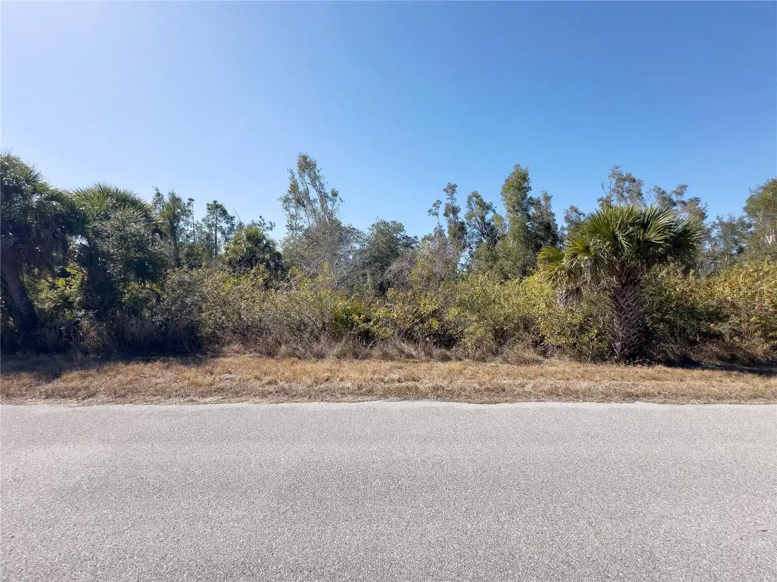 Image 1 Image 1