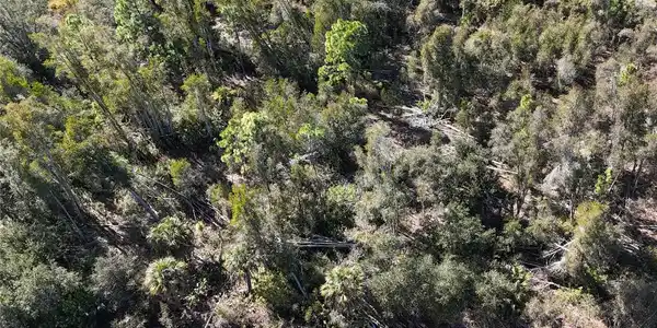 Image 3 Image 3