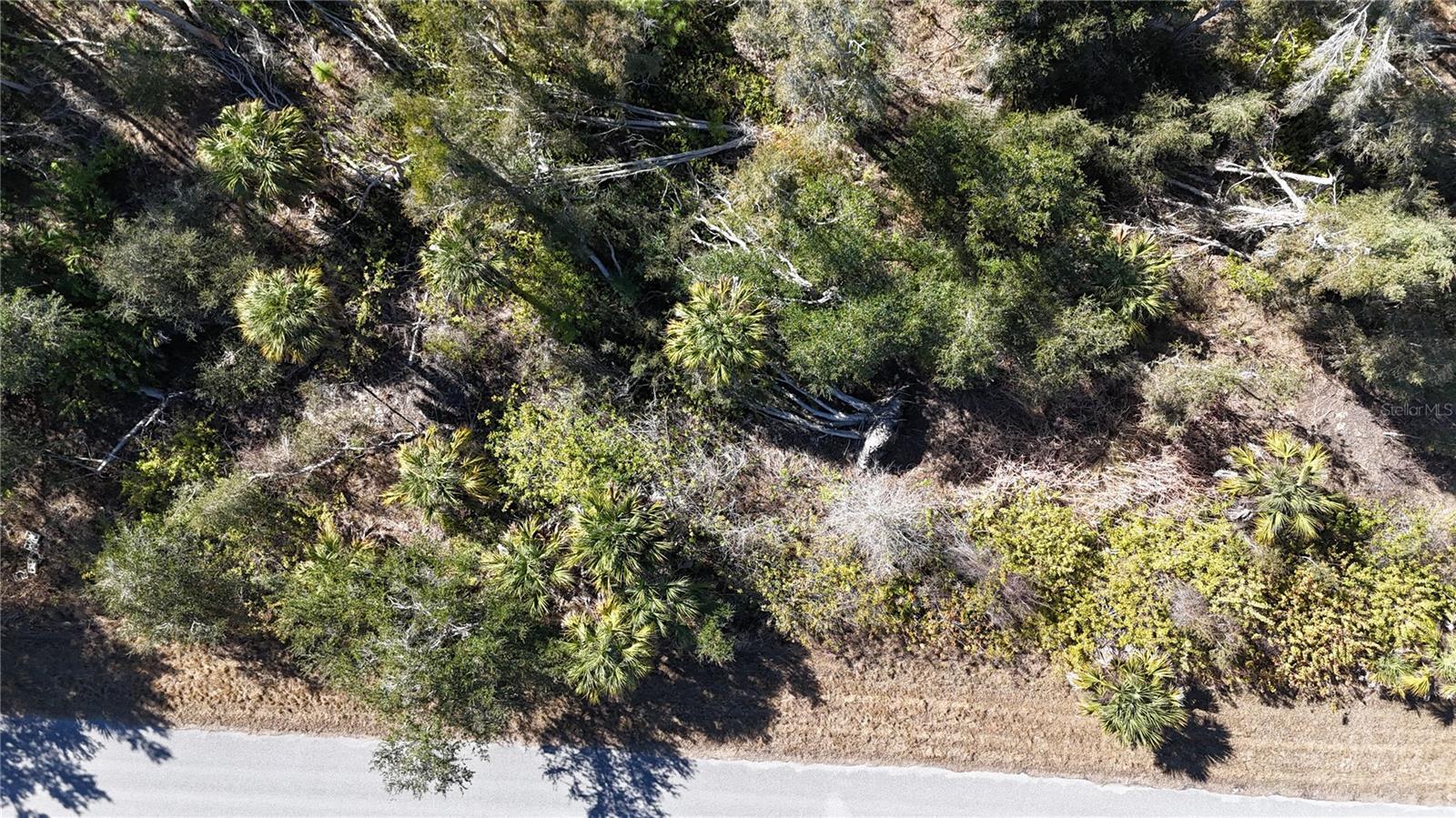 Image 4 Image 4