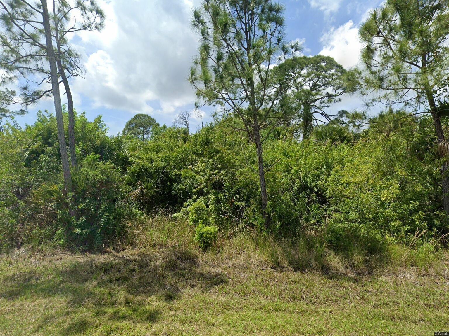 Image 1 Image 1