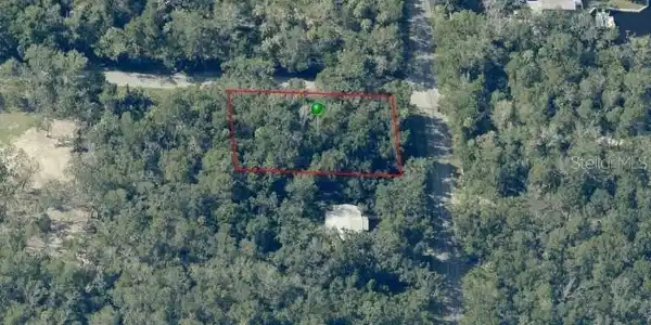 Image 3 Image 3