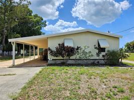 11033 PINE TREE