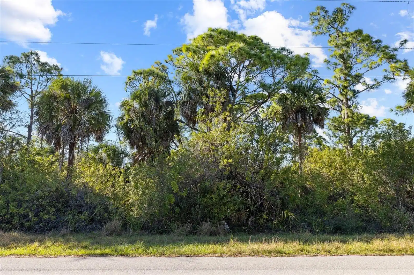 Image 1 Image 1