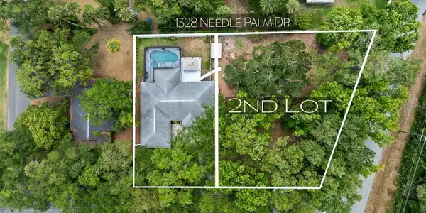 NEEDLE PALM DRIVE