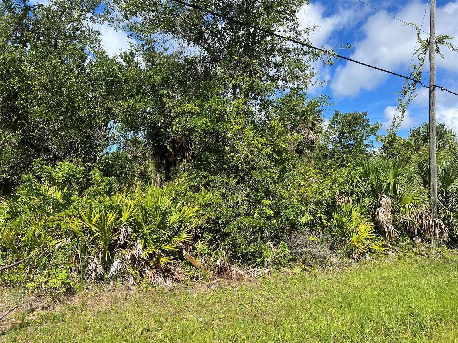 Image 1 Image 1