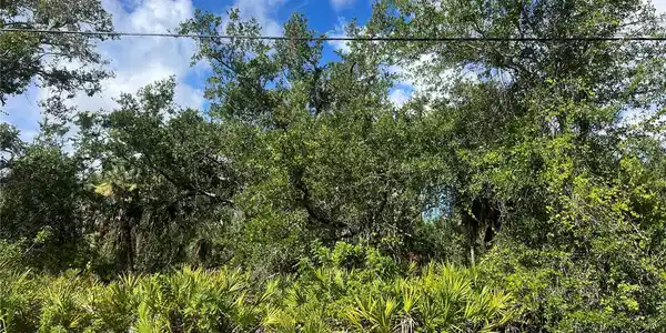 Image 2 Image 2