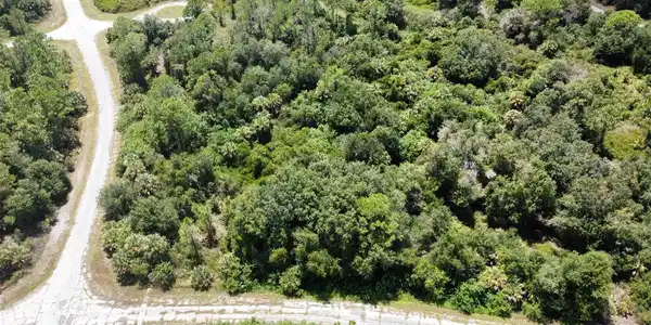Image 3 Image 3