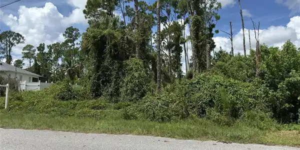 Image 4 Image 4