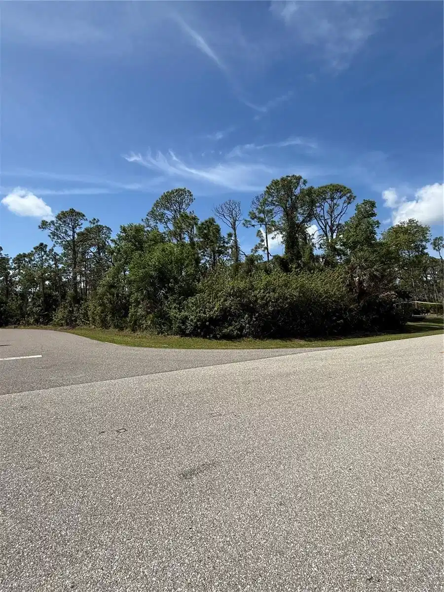 Image 1 Image 1