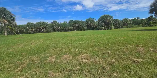 Image 4 Image 4