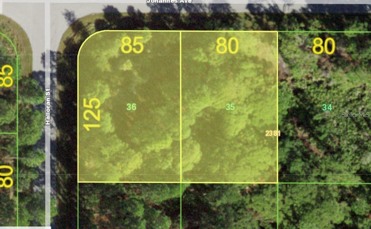 Image 1 Image 1