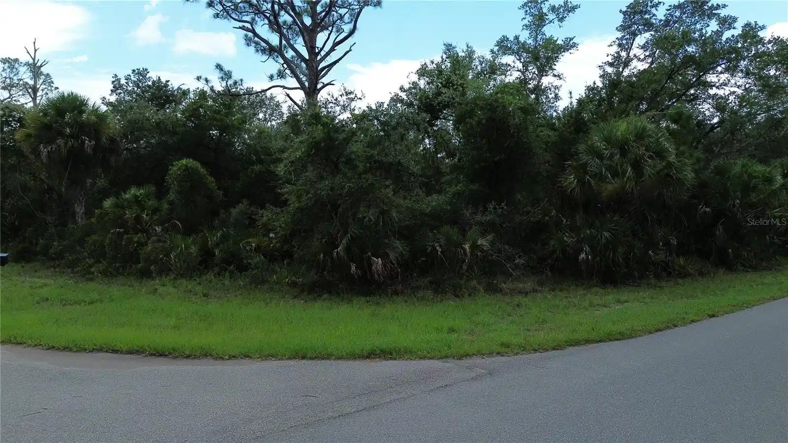 Image 1 Image 1