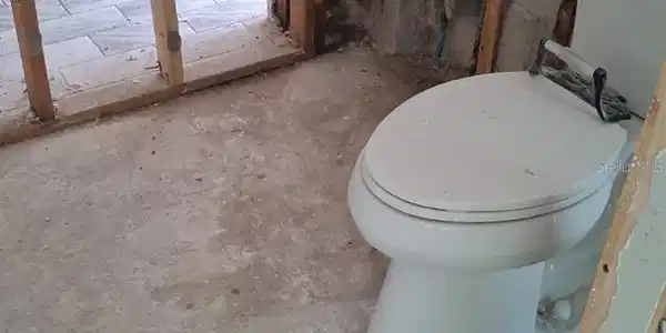 Image 3 Image 3