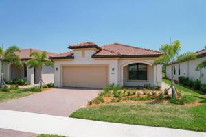 24277 SPARTINA