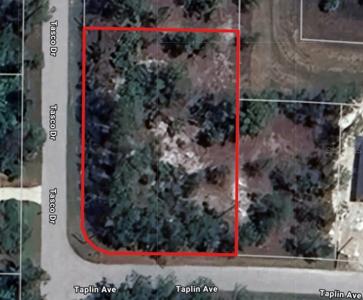 Lots 10 & 11 TAPLIN AVENUE