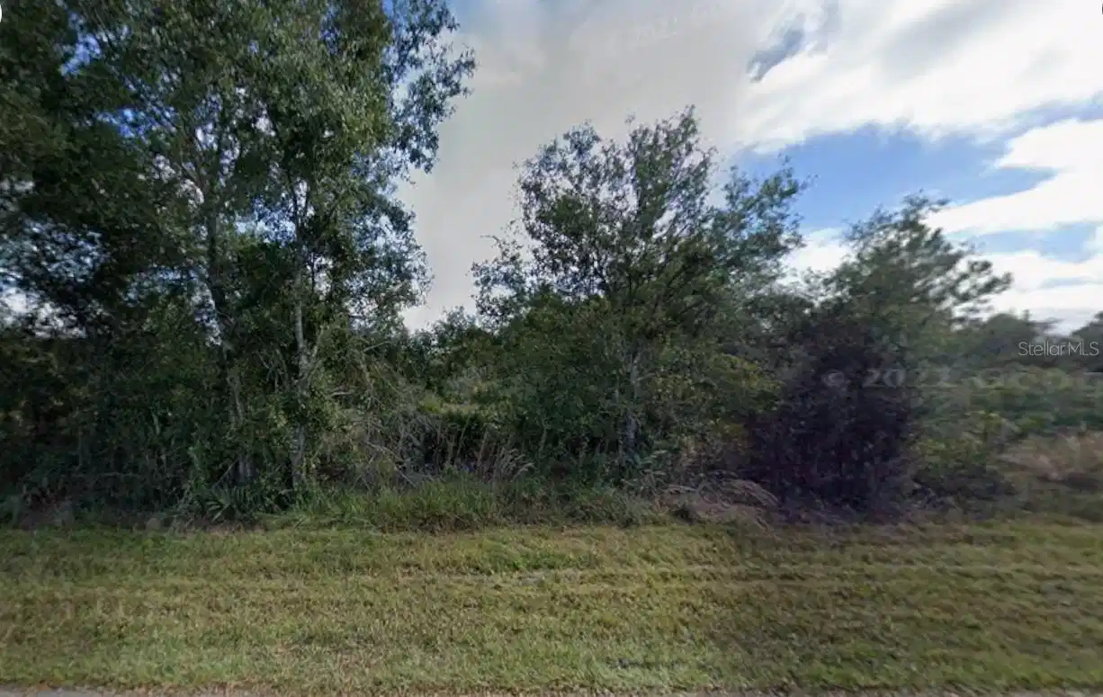 Image 1 Image 1