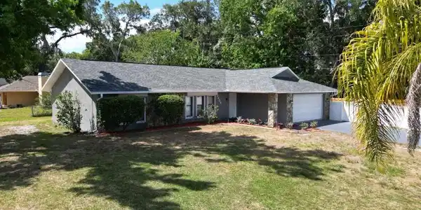 2404 NEEDLE PALM DRIVE