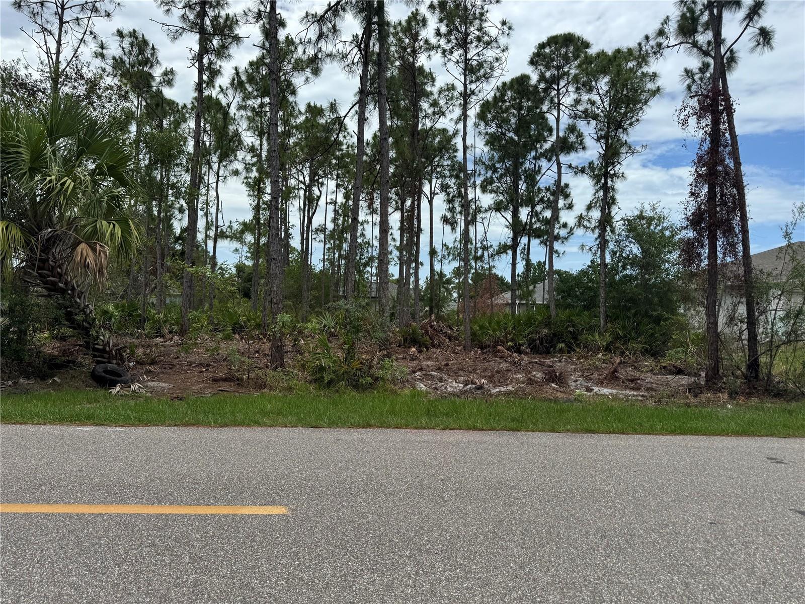 Image 1 Image 1