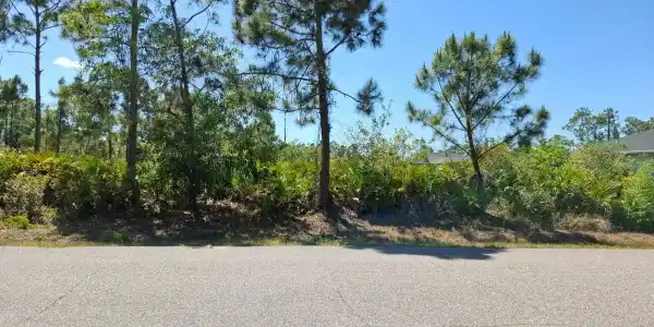 5541 GULFPORT TERRACE