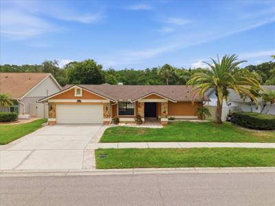 11803 SWEETPEA COURT