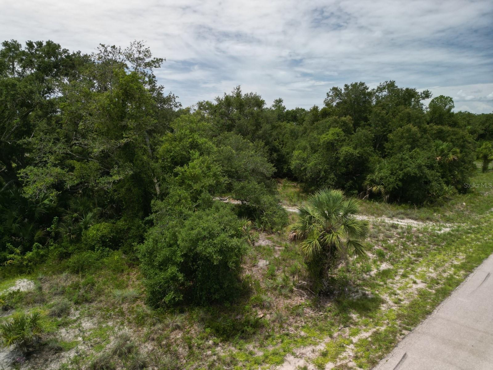 Image 1 Image 1