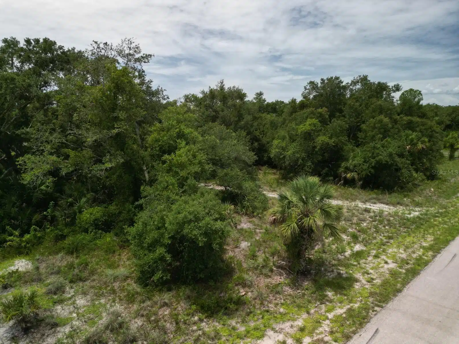 Image 1 Image 1