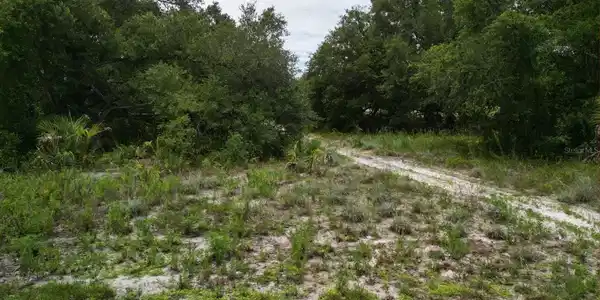 Image 4 Image 4
