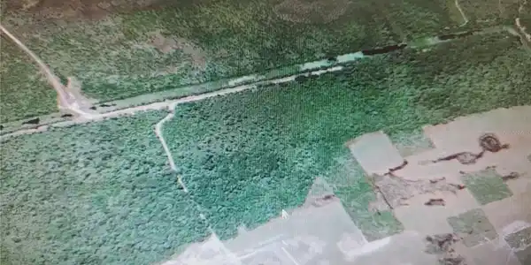Image 4 Image 4