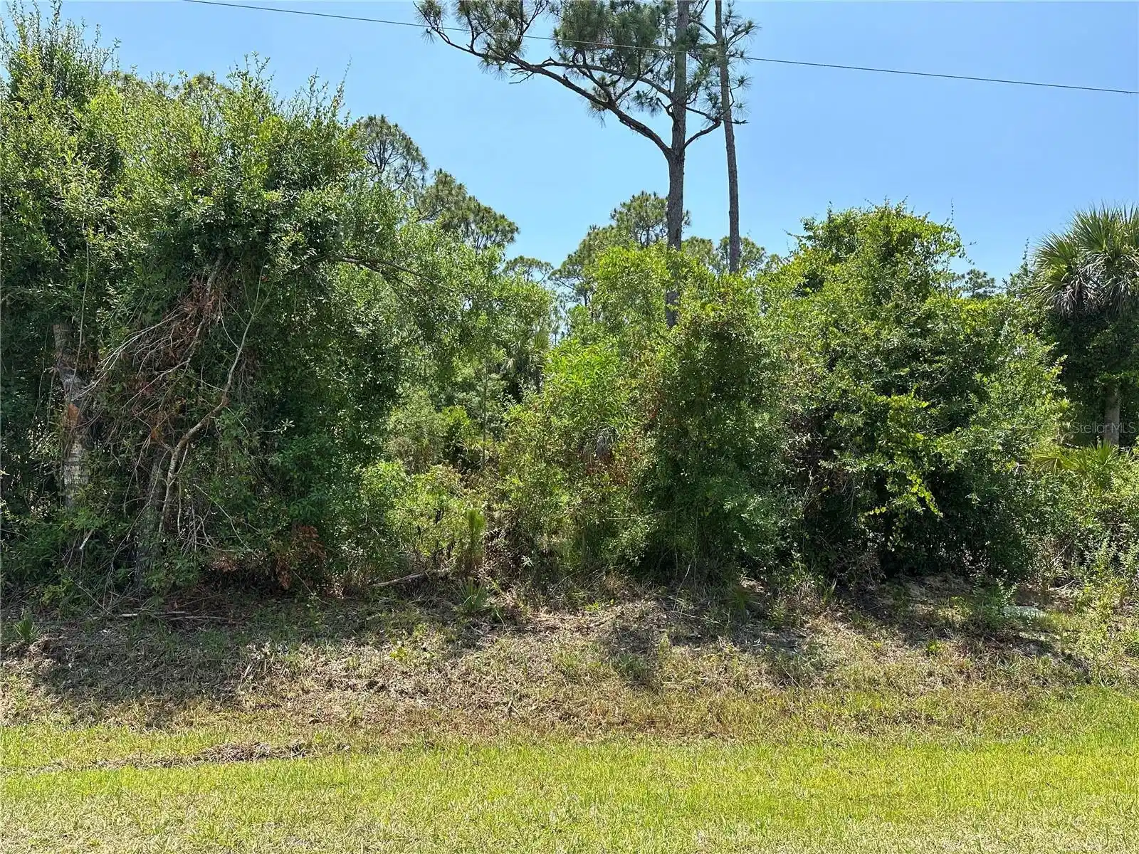Image 1 Image 1